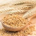 Masoor Dal